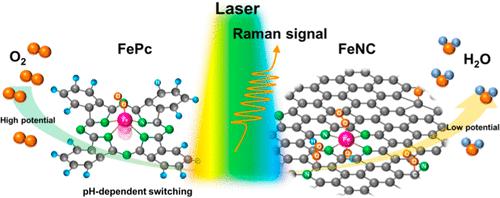 Probing The Oxygen Reduction Reaction Intermediates And Dynamic Active ...