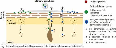 用于护肤配方的多功能基于活性成分的输送系统：综述,Colloids And Surfaces B: Biointerfaces - X-MOL