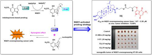 Design And Synthesis Of NAD(P)H: Quinone Oxidoreductase (NQO1 ...