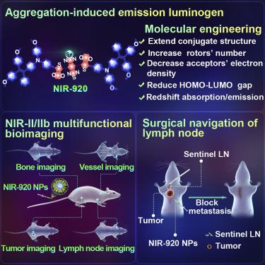 Molecular Engineering Of AIE Luminogens For NIR-II/IIb Bioimaging And ...