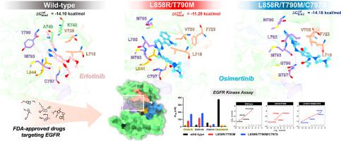 Structural dynamics and kinase inhibitory activity of three 