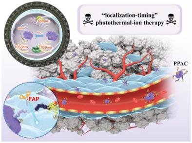 A “Dual-Source, Dual-Activation” Strategy For An NIR-II Window ...