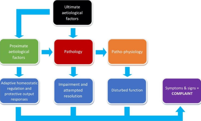 How to gain evidence for causation in disease and