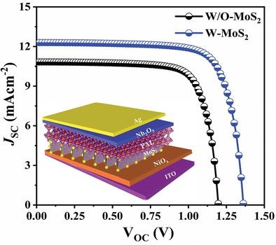 Van Der Waals Epitaxial Growth For High Performance Organic-Free ...