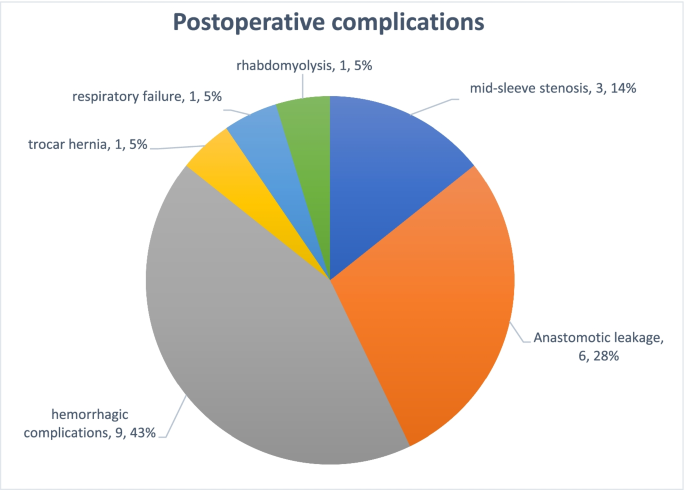 Effect Of Significant Postoperative Complications On Decision Regret After Laparoscopic Sleeve 0538