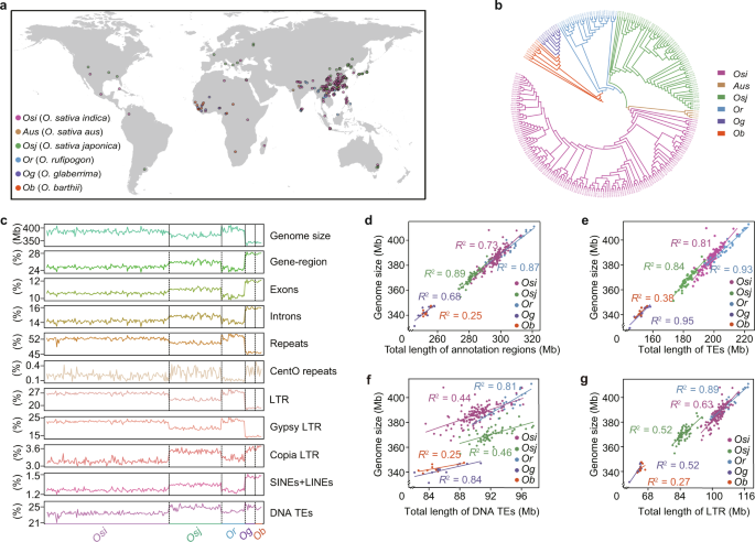 A Super Pan-genomic Landscape Of Rice,Cell Research - X-MOL