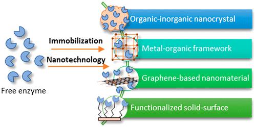 Recent Advances In Enzyme Immobilization Utilizing Nanotechnology For ...