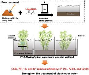 Partial nitrification in free nitrous acid-treated sediment