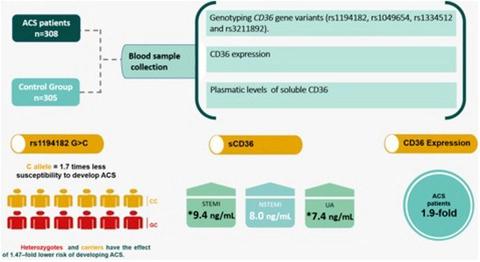 Genetic variants, gene expression, and soluble CD36 analysis in acute ...