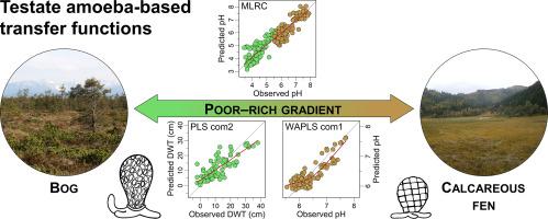 Ecology of testate amoebae along an environmental gradient from bogs to ...