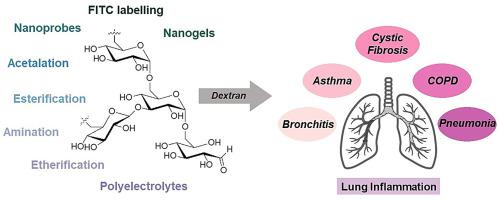 Advances And Applications Of Dextran-based Nanomaterials Targeting ...