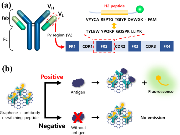 One-Step Homogeneous Immunoassay For The Detection Of Influenza Virus ...