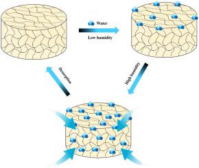 Zeolites and superporous hydrogels-based hybrid composites as solid ...