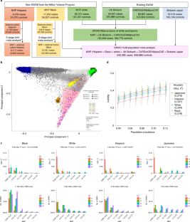 Large-scale genome-wide association study of coronary artery disease in ...