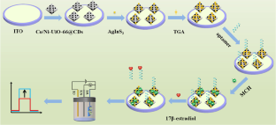 基于AgInS2@Co/Ni-UiO-66@CDs光电极的自供电光电化学适体传感器用于雌二醇检测,Microchimica Acta - X-MOL