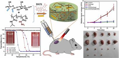 具有近红外光热增强DOX释放特性的纤维素基热响应水凝胶用于抗肿瘤化疗,Colloids And Surfaces B ...