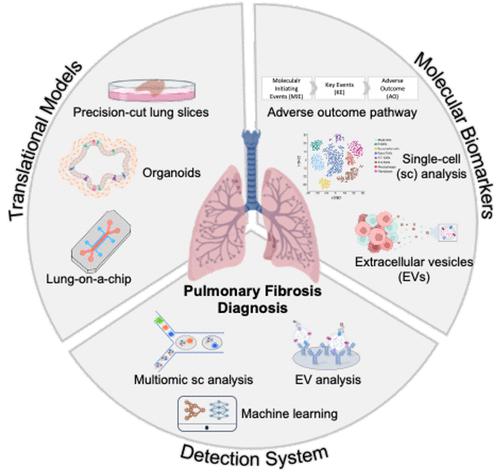 Recent Advances in Molecular Diagnosis of Pulmonary Fibrosis for ...