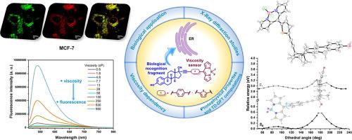 BODIPY-Ethynylestradiol Molecular Rotors As Fluorescent Viscosity ...