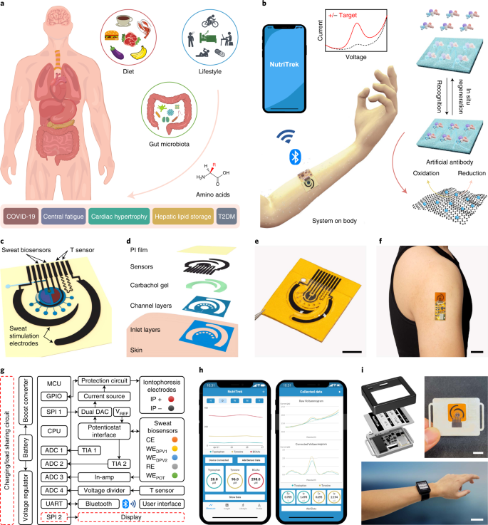 A Wearable Electrochemical Biosensor For The Monitoring Of Metabolites ...