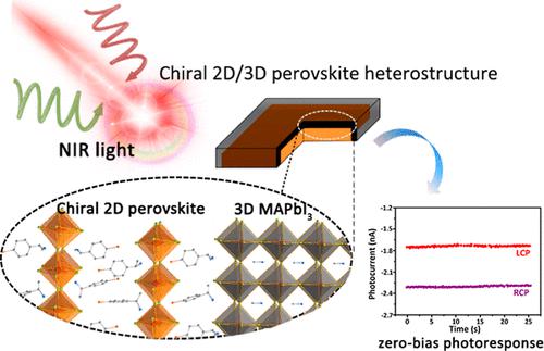 Direct Detection Of Near-Infrared Circularly Polarized Light Via ...