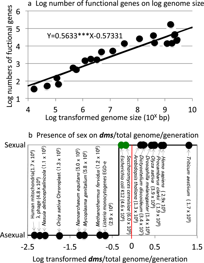 The Origination Events Of Gametic Sexual Reproduction And Anisogamyjournal Of Ethology X Mol