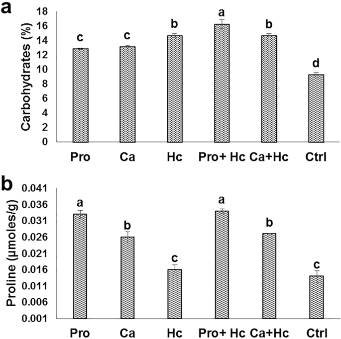 Co-application of proline or calcium and humic acid enhances ...