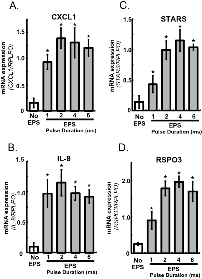 RSPO3 is a novel contraction-inducible factor identified in an “in