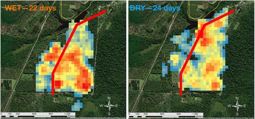 Diet, activity patterns, and home range use in forest and cultivated ...