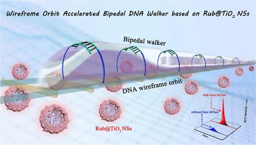 Wireframe Orbit Accelerated Bipedal Dna Walker For