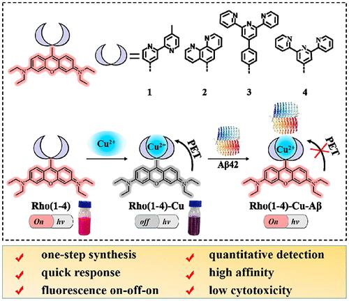 Rational Design, Synthesis of Fluorescence Probes for Quantitative ...