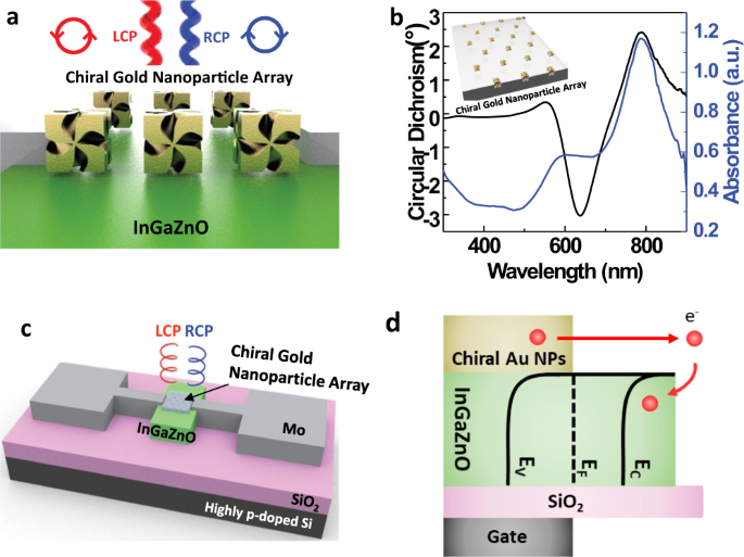 nanoparticle review nature