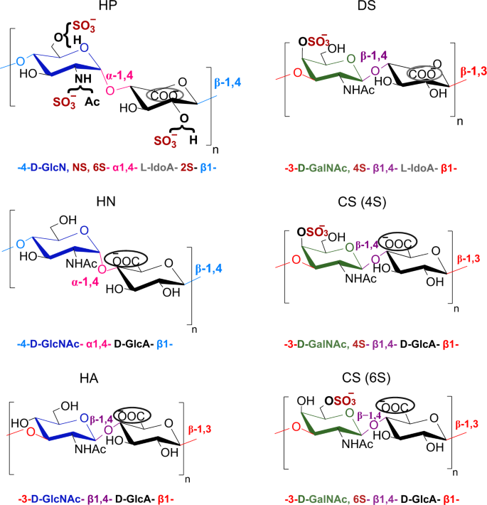 Comprehensive Structural Assignment Of Glycosaminoglycan Oligo- And ...