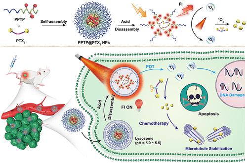 Sequentially Activatable Polypeptide Nanoparticles For Combinatory ...