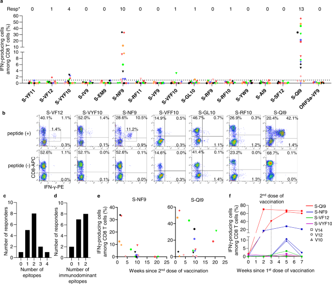 Long-term Memory CD8+ T Cells Specific For SARS-CoV-2 In Individuals ...