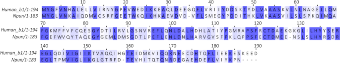 biomolecular nmr assignments