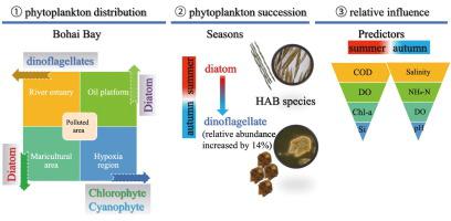 Water quality shifts the dominant phytoplankton group from diatoms to ...