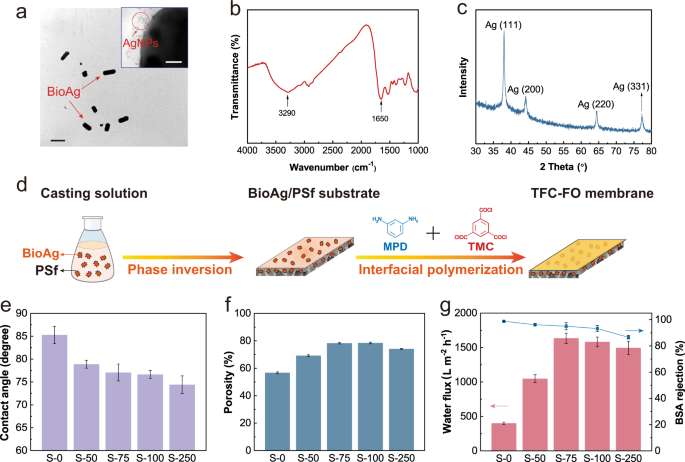 Biogenic silver nanoparticles-modified forward osmosis membranes with ...