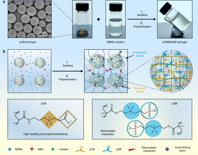 Microgel Reinforced Zwitterionic Hydrogel Coating For Blood Contacting