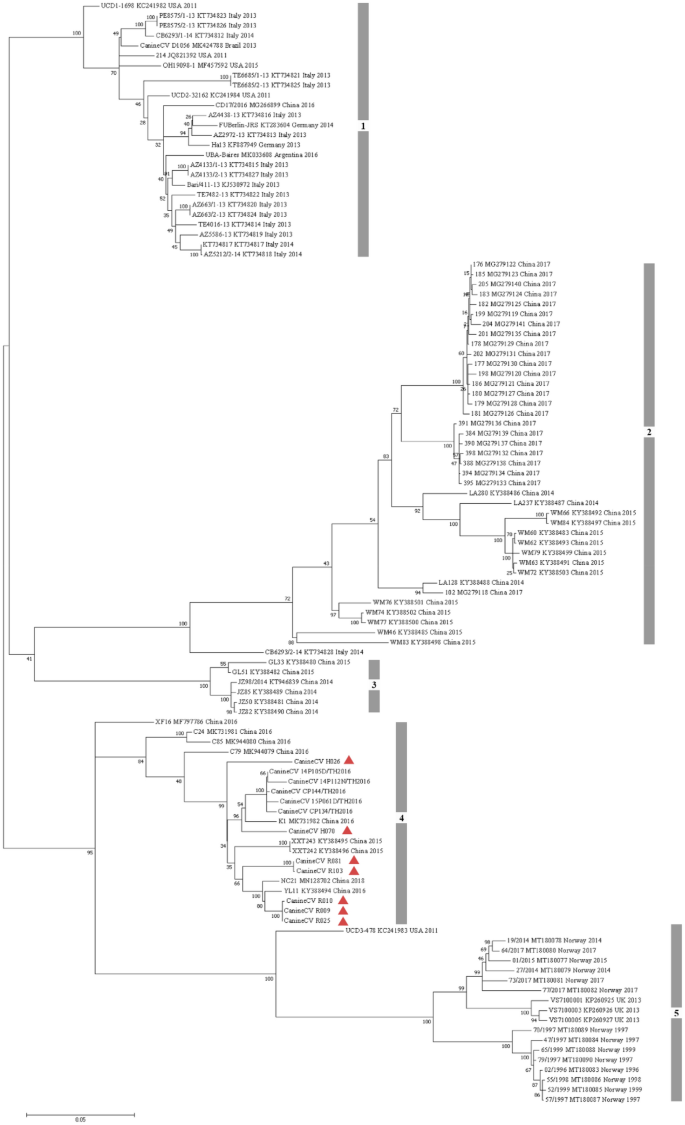 Epidemiology Genetic Diversity And Association Of Canine Circovirus   10.1038 S41598 022 19815 Z.PNG