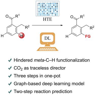 Selective Functionalization Of Hindered Meta CH Bond Of O Alkylaryl