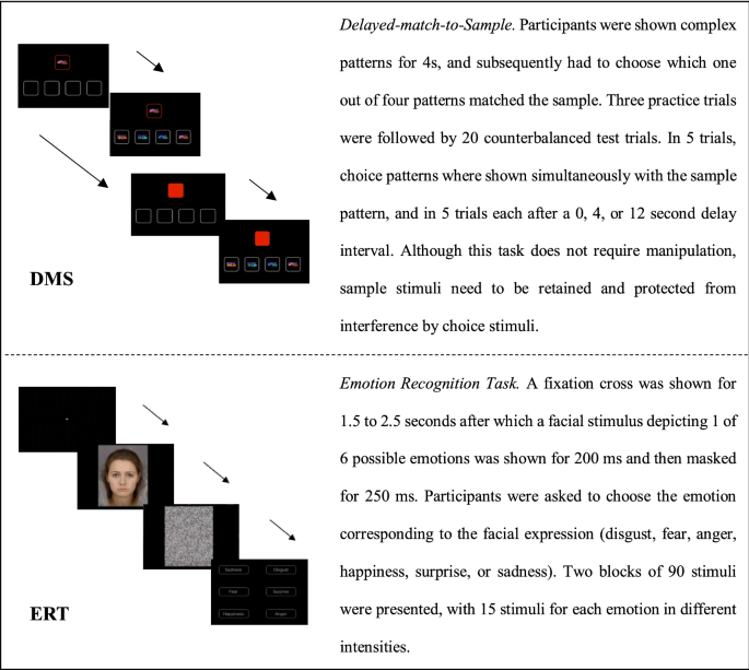 Emotion Recognition Profiles In Clusters Of Youth Based On Levels Of Callous Unemotional Traits 0691