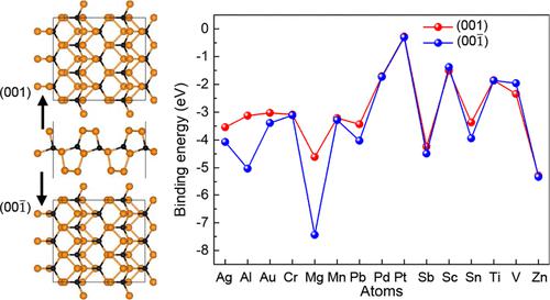 二维 (2D) Janus 单层的原子吸附控制磁性,ACS Applied Electronic Materials - X-MOL