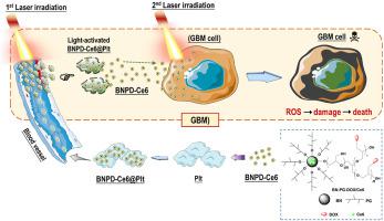 Targeted Photodynamic Therapy Of Glioblastoma Mediated By Platelets ...