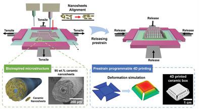 Prestrain Programmable 4D Printing Of Nanoceramic Composites With ...