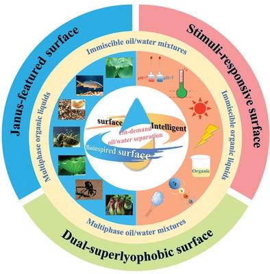 Special Superwetting Materials From Bioinspired To Intelligent Surface ...