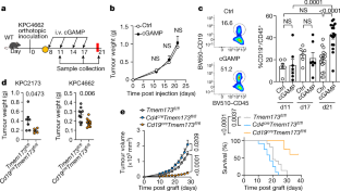 STING-induced Regulatory B Cells Compromise NK Function In Cancer ...