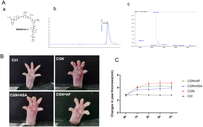 Alloferon-1 改善 λ-角叉菜胶诱导的小鼠爪水肿的急性炎症反应,Scientific Reports - X-MOL