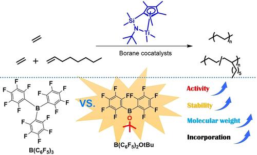 Cocatalyst Effect In Transition Metal Catalyzed Ethylene Polymerization And Copolymerization