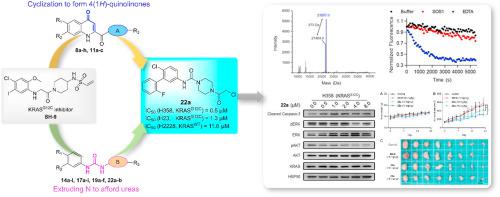 Design, synthesis, and evaluation of 4(1H)-quinolinone and urea 