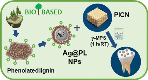 3D-Printed Polymer-Infiltrated Ceramic Network With Antibacterial ...